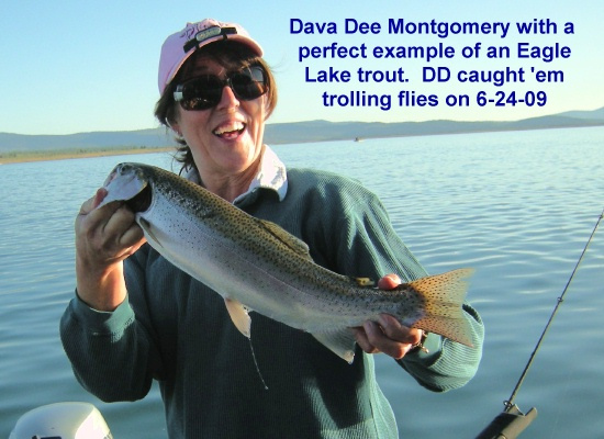 Dee-Dee-Montgomery