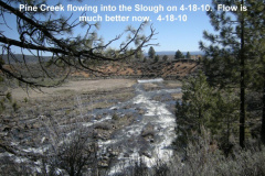Flow-of-Pine-Creek-into-the-lake-is-much-better-now-4-18-10