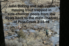 John-and-Justin-Boring-from-Susanville-moving-trapped-trout-back-to-the-main-channel-of-Pine-Cr-3-28-10