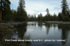 Pine-Creek-above-county-road-A-1