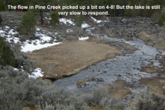 The-flow-of-Pine-Creek-picked-up-a-little-the-last-few-days-4-8-10