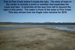 Where-Pine-Creek-meets-the-lake-3-27-10