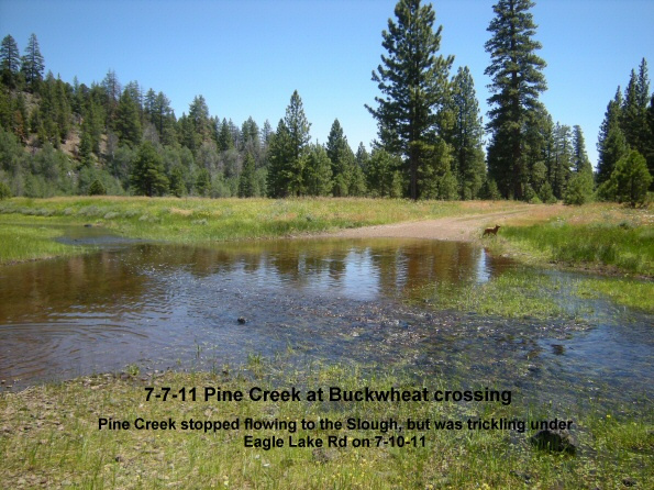 7-7-11-Pine-Creek-at-Buckwheat-crossing