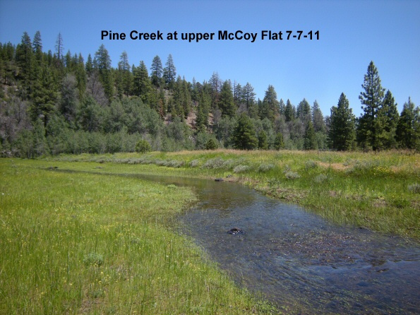 7-7-11-Pine-Creek-upper-McCoy-Flat