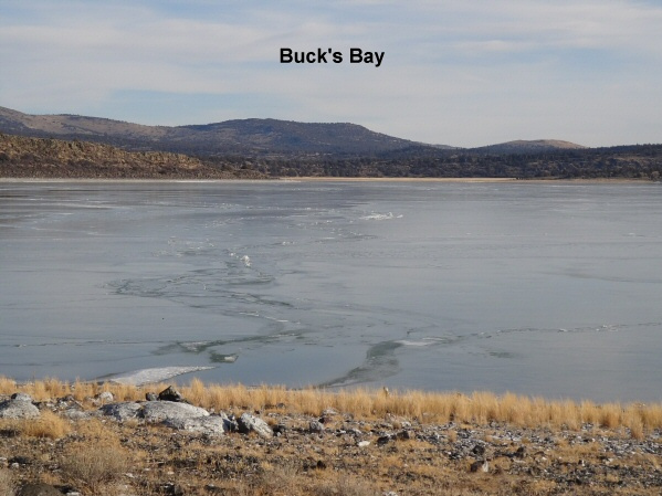 Buck_s-Bay