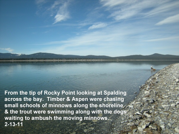 From-the-tip-of-Rocky-Pt-looking-across-at-Spalding-2-13-11