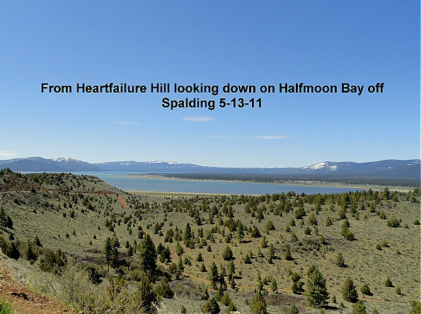Halfmoon-Bay-from-Heartfailure-Hill-5-13-11
