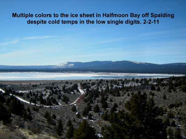 Ice-of-different-colors-in-Halfmoon-Bay-off-Spalding-2-2-11