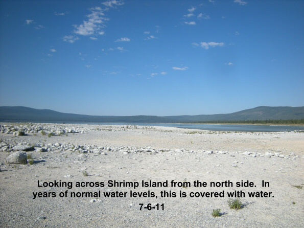 Looking-south-across-Shrimp-Island-7-6-11