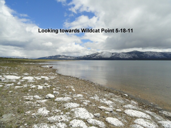 Looking-towards-Wildcat-Pt-5-18-11