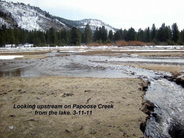Looking-upstream-on-Papoose-Cr-from-the-lake-3-11-11