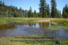7-7-11-Pine-Creek-at-Buckwheat-crossing