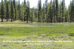 Another-man-made-wildlife-pond-along-Pine-Creek-5-10-11