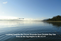 Fog-on-the-pond2-6-3-11