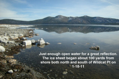 Just-enough-open-water-for-reflection-1-18-11