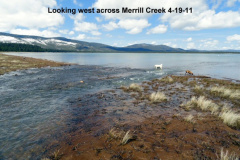Looking-east-from-Merrill-Creek-4-19-11