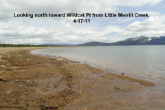 Looking-north-from-Little-Merrill-Creek-4-17-11