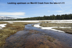 Looking-upstream-on-Merrill-Creek-from-the-lake-4-1-11