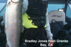 Bradley-Jones