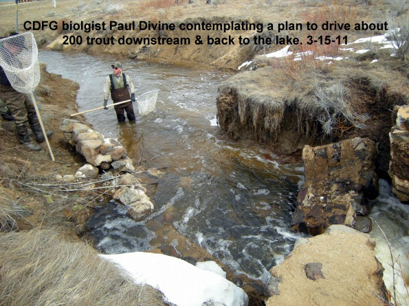 CDFG-biologist-Paul-Divine-directing-trout-rescue-on-Papoose-Cr-3-15-11