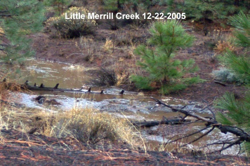 Little-Merrill-Creek-12-22-2005