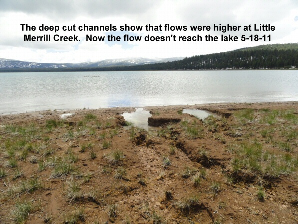 Little-Merrill-Creek-flow-not-reaching-the-lake-5-18-11