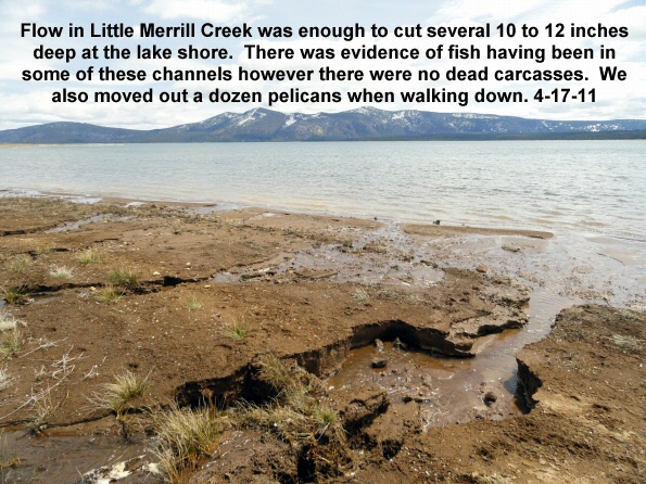 Little-Merrill-flow-enough-to-cut-channels-to-the-lake-4-17-11