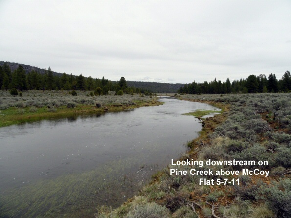 Looking-down-stream-on-Pine-Creek-5-7-11