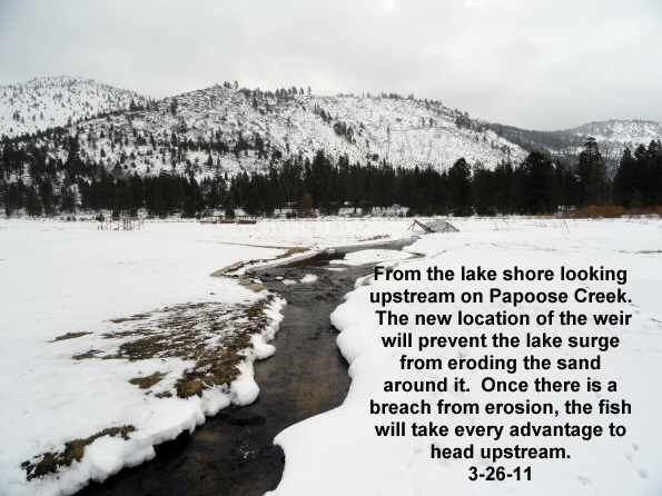 Looking-upstream-from-the-lake-shore-on-Papoose-Creek-3-26-11