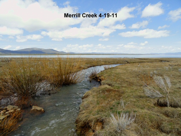 Merrill-Creek-4-19-11