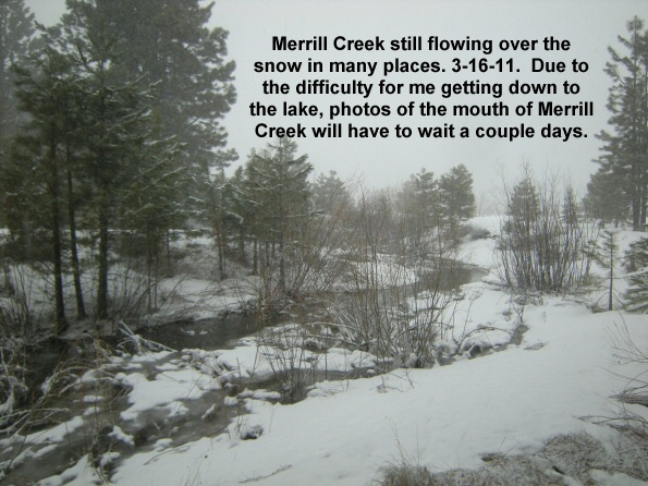 Merrill-Creek-at-Merrill-Campground-3-16-11