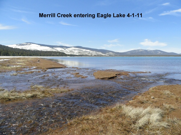 Merrill-Creek-enters-Eagle-Lake-4-1-11