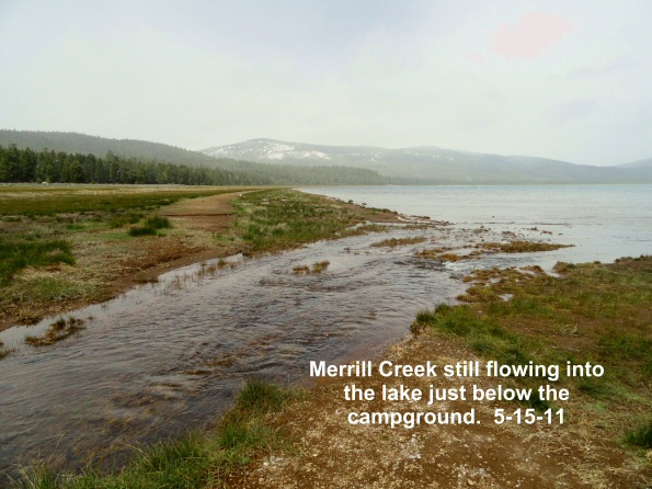 Merrill-Creek-remains-flowing-but-the-fish-have-lost-their-desire-5-15-11