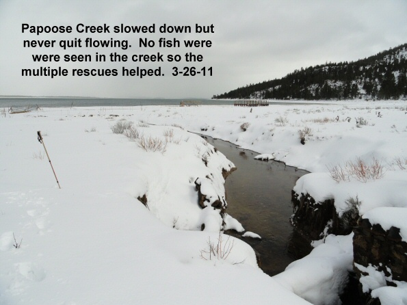 Papoose-Creek-3-26-11