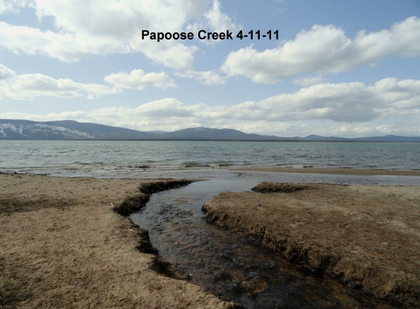 Papoose-Creek-4-11-11