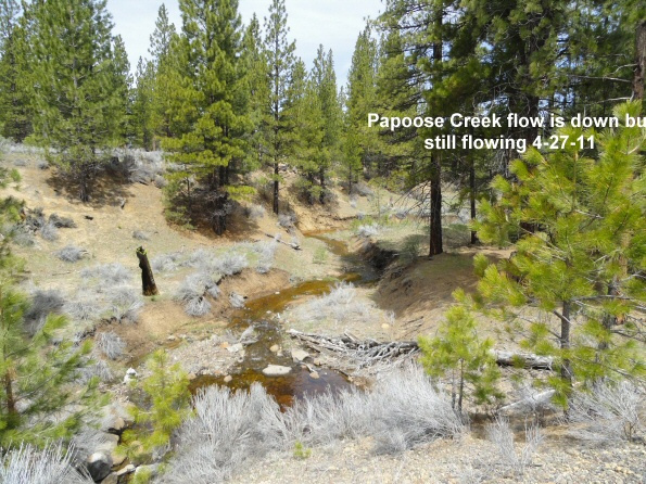 Papoose-Creek-flow-down-4-27-11