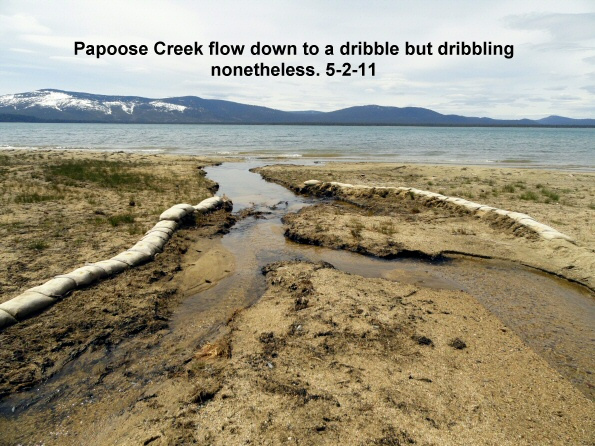 Papoose-Creek-flow-down-to-a-dribble-5-2-11