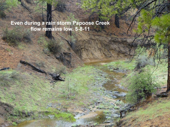Papoose-Creek-flow-low-despite-recent-rainfall-5-8-11