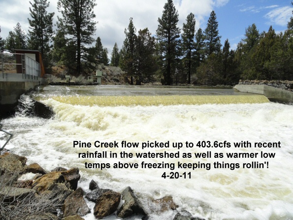 Pine-Creek-4-20-11