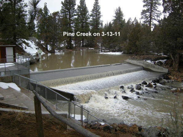 Pine-Creek-at-the-Egg-Collection-Facility-3-14-11