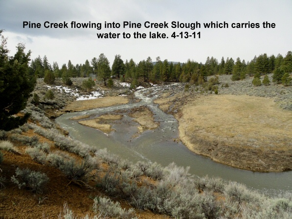 Pine-Creek-before-the-weir-was-to-be-installed-4-13-11