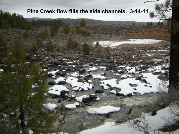 Pine-Creek-flow-fills-the-side-channels-of-the-creek-3-14-11