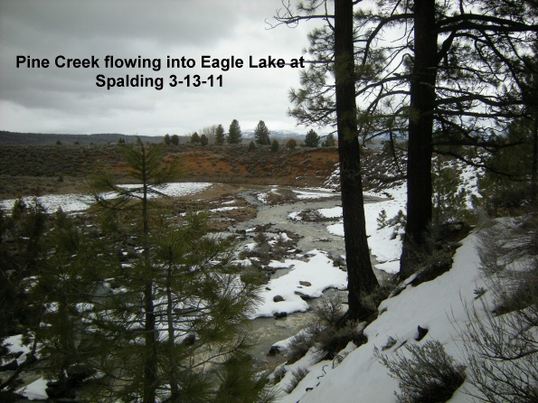 Pine-Creek-rushing-into-the-Slough-3-13-11