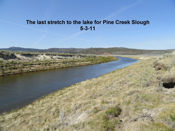 The-last-stretch-to-the-lake-for-Pine-Creek-Slough-5-3-11
