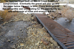 Finger-weir-on-Merrill-Creek-eroding-4-8-11