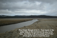 Flow-Baby-Flow__-Pine-Creek
