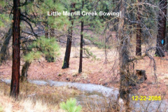 Little-Merril-Creek-halfway-to-the-lake-from-county-road-A1-12-22-2005
