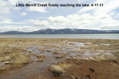 Little-Merrill-Creek-finally-reaches-the-lake-4-17-11