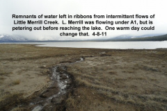 Little-Merrill-still-struggling-to-get-to-the-lake-4-8-11
