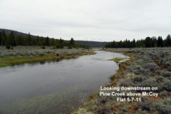 Looking-down-stream-on-Pine-Creek-5-7-11